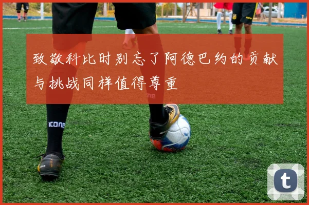 致敬科比时别忘了阿德巴约的贡献与挑战同样值得尊重