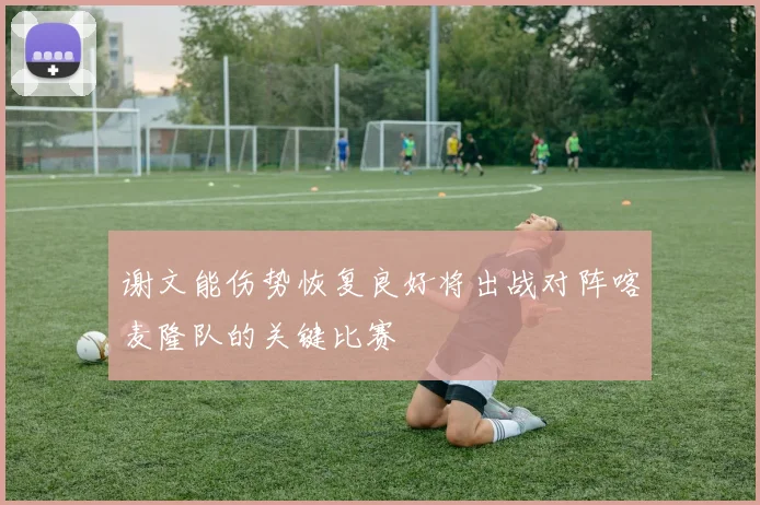 谢文能伤势恢复良好将出战对阵喀麦隆队的关键比赛